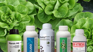 povrtari 15 12 2025 1