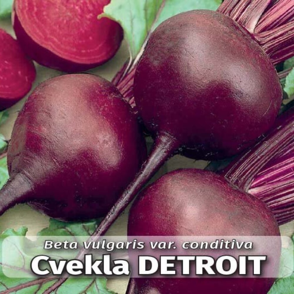 cvekla detroit 263