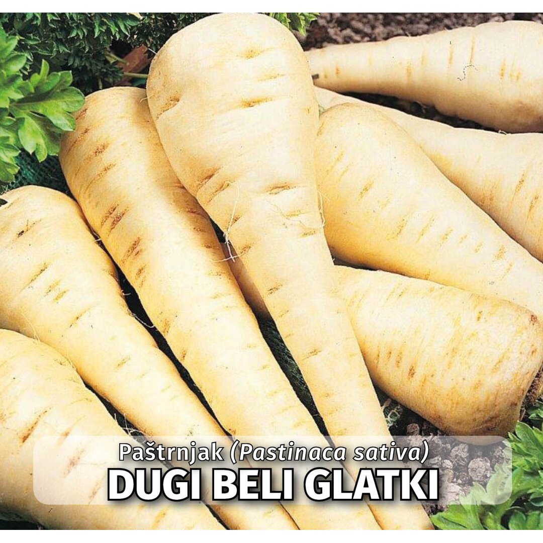 DBG 100.jpg
