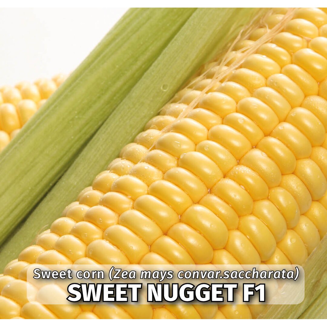 kukuruzsweetnugget.jpg