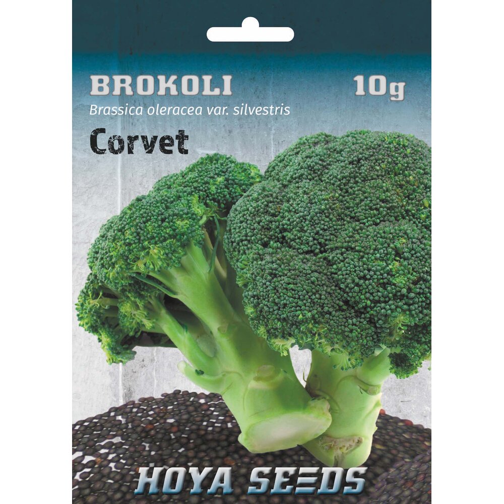 brokoli corvet 291