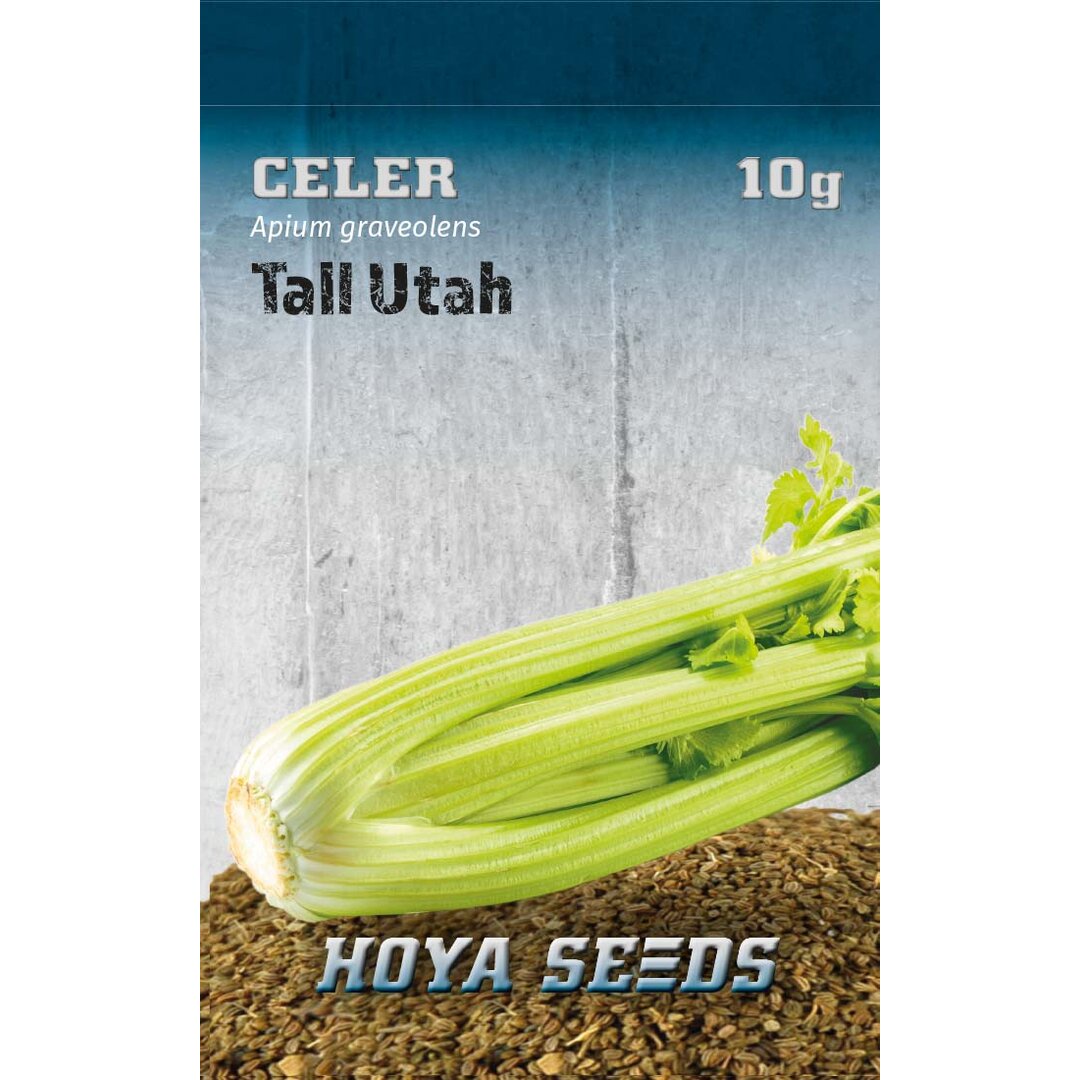 celer_tallutah.jpg