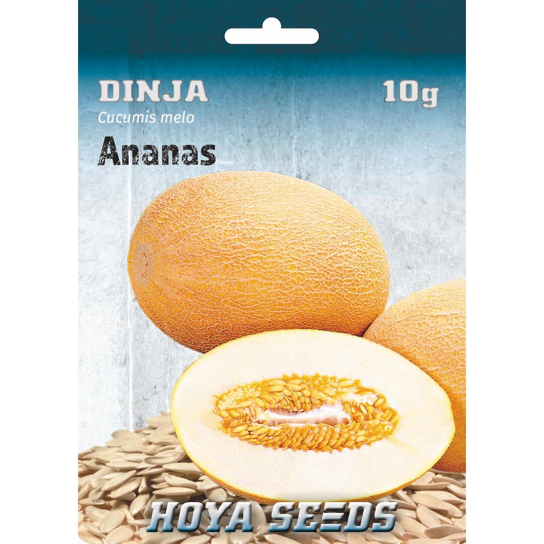 Dinja_Ananas.jpg