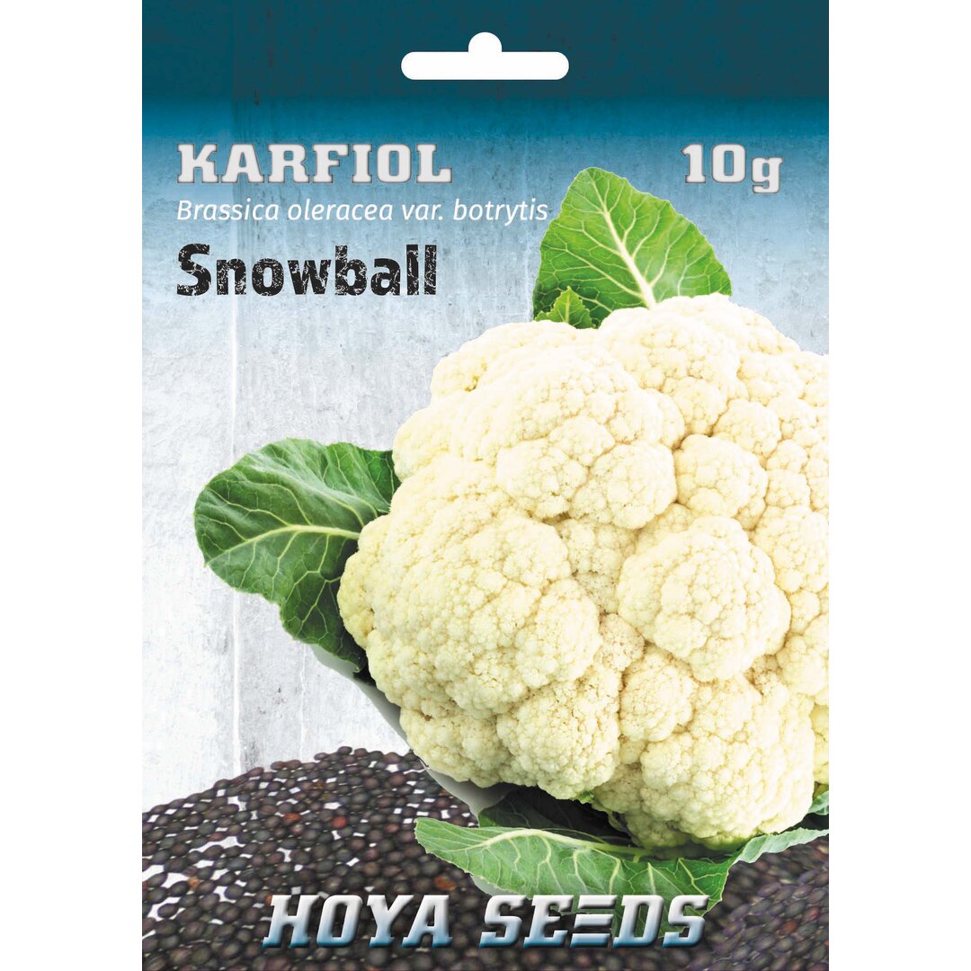 karfiol_snowball.jpg