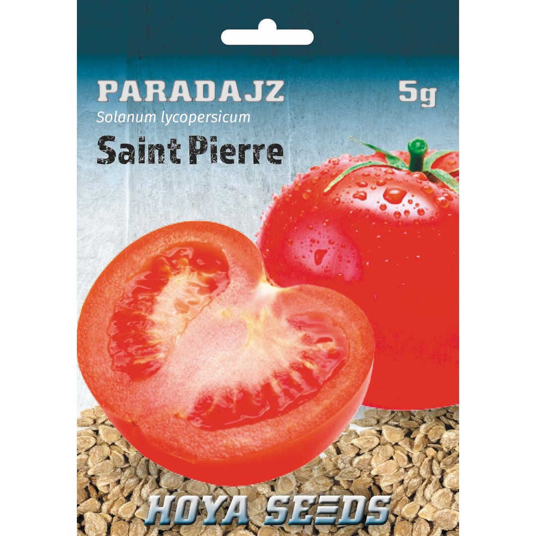 paradajz_saintpierre.jpg