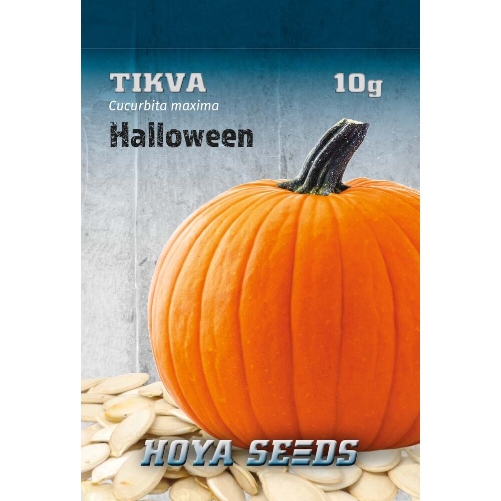 tikva helloween 331