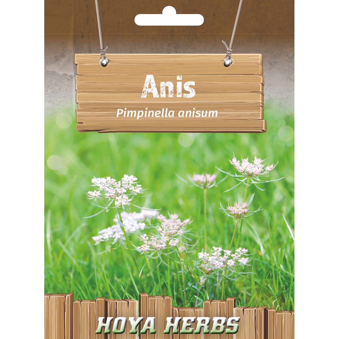 anis.jpg