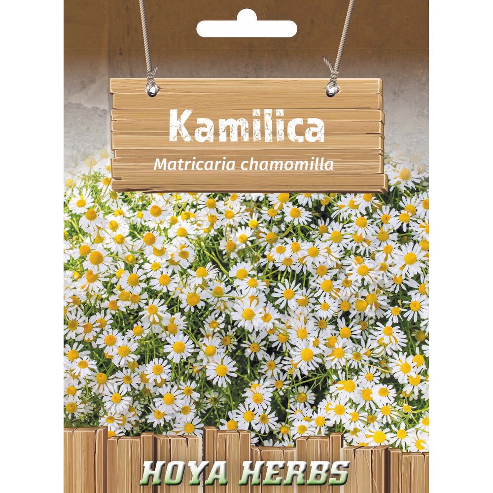 kamilica 339