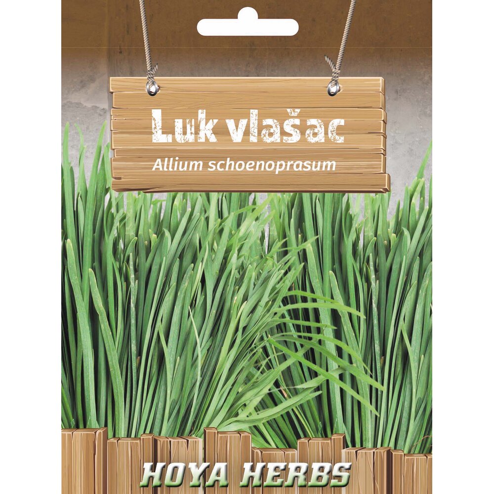 luk vlašac 345