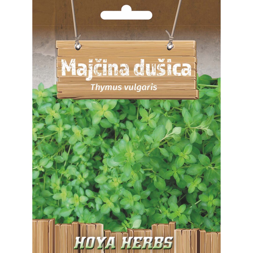 majcinadusica.jpg