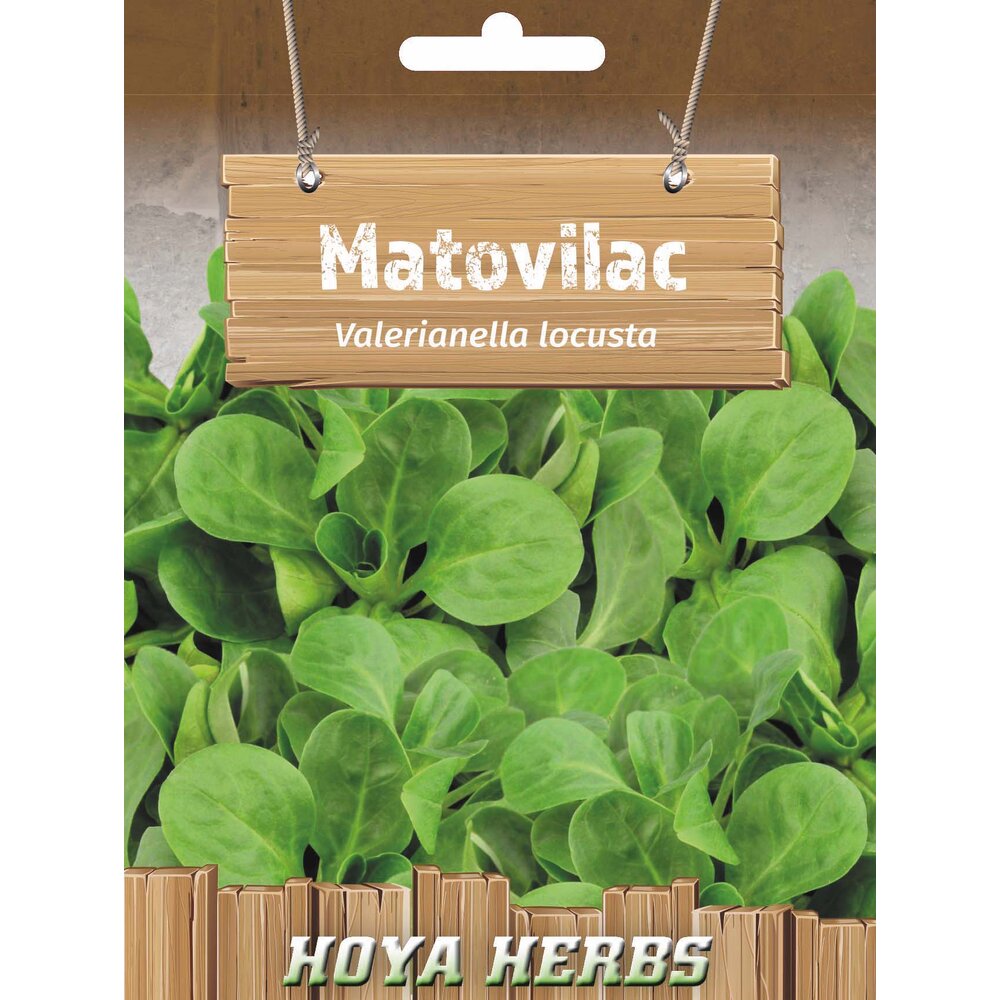matovilac domaći zeleni 349