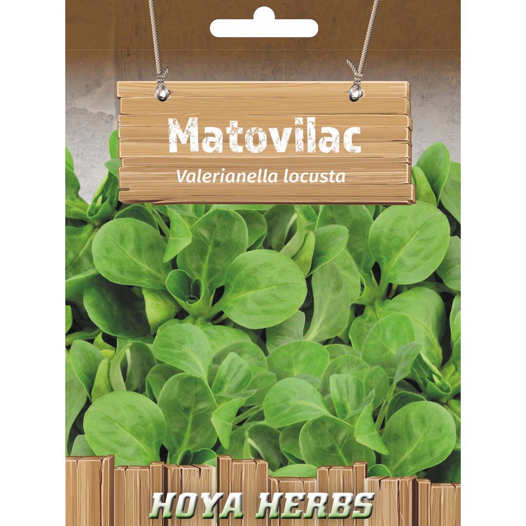 matovilac.jpg