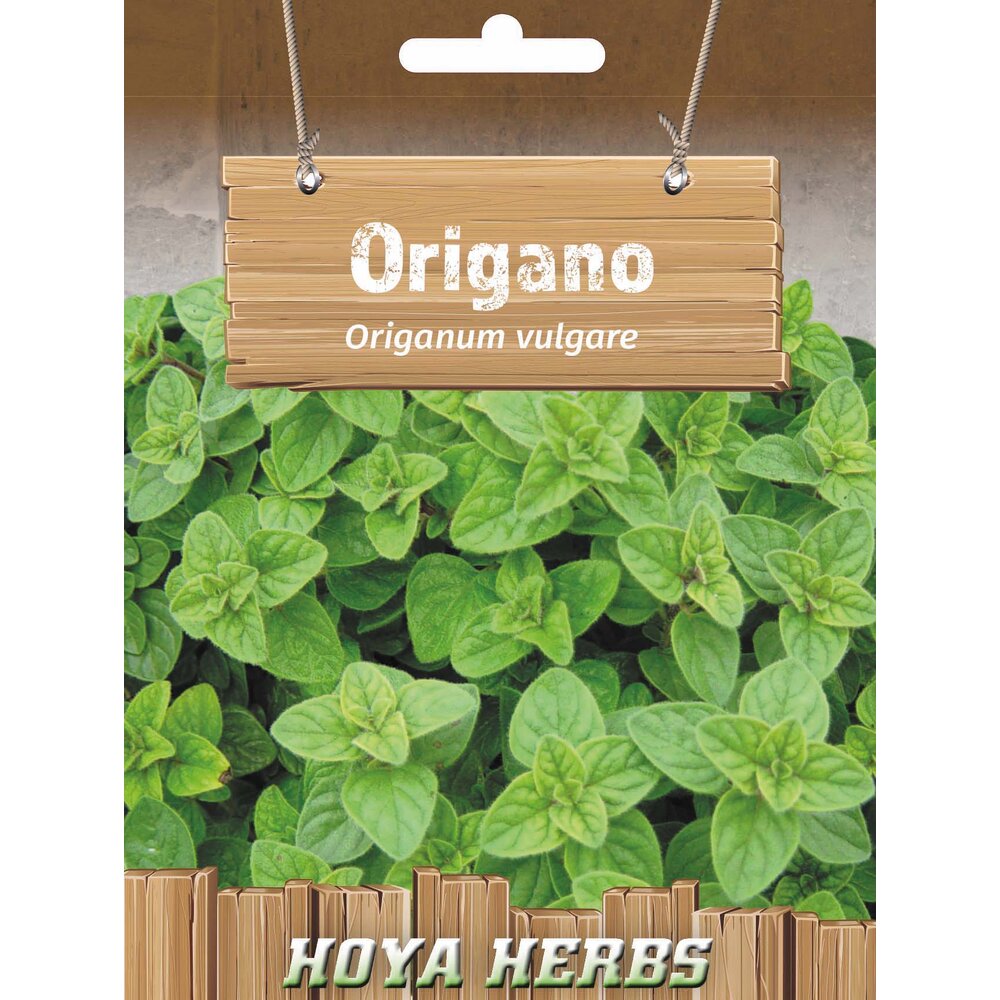 origano 352