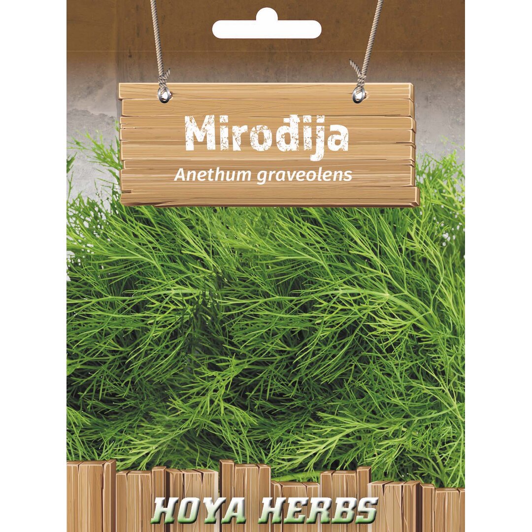 mirodjija.jpg