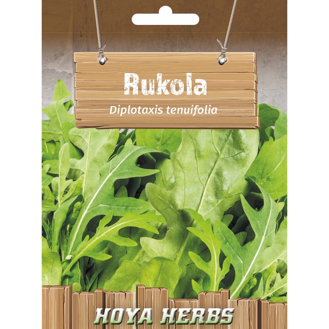 rukola.jpg