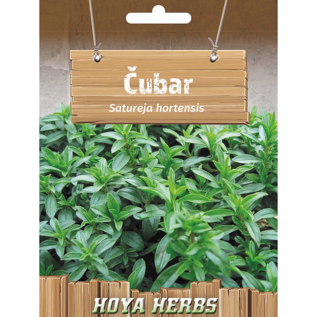 cubar.jpg