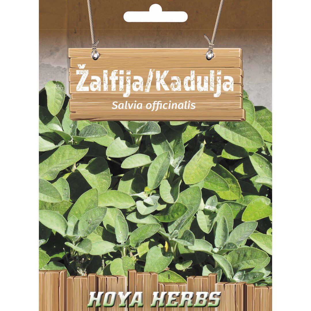 zalfija.jpg