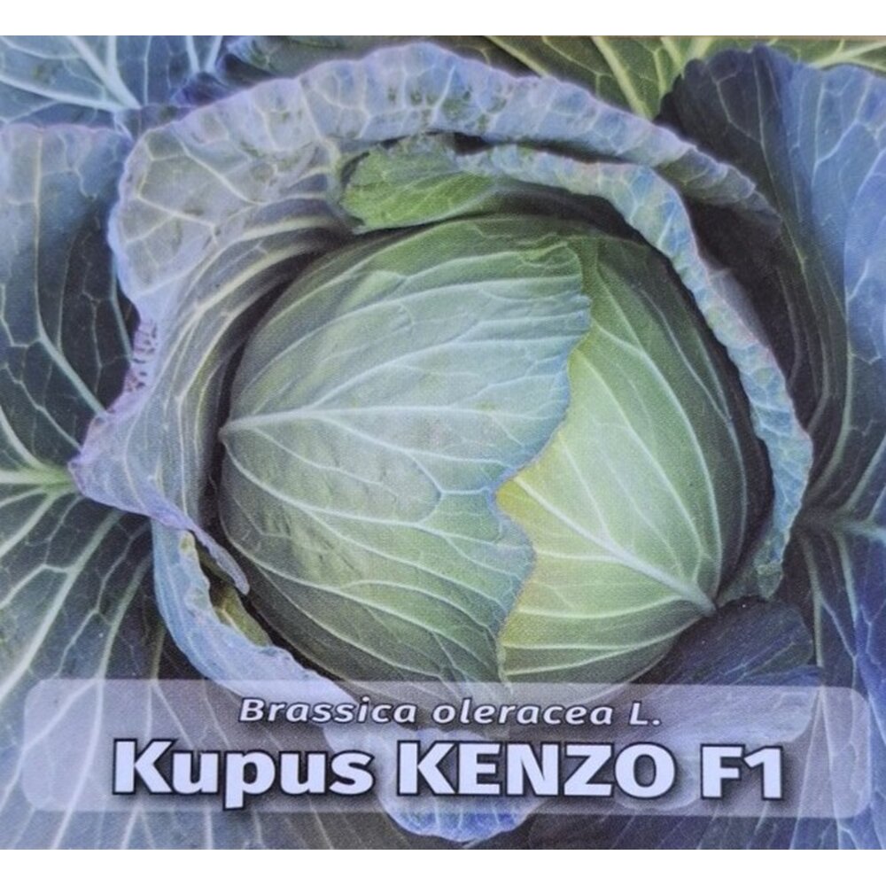 kupus kenzo f1 257