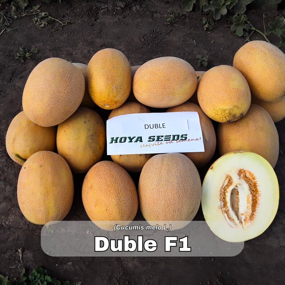 dinje duble f1 272