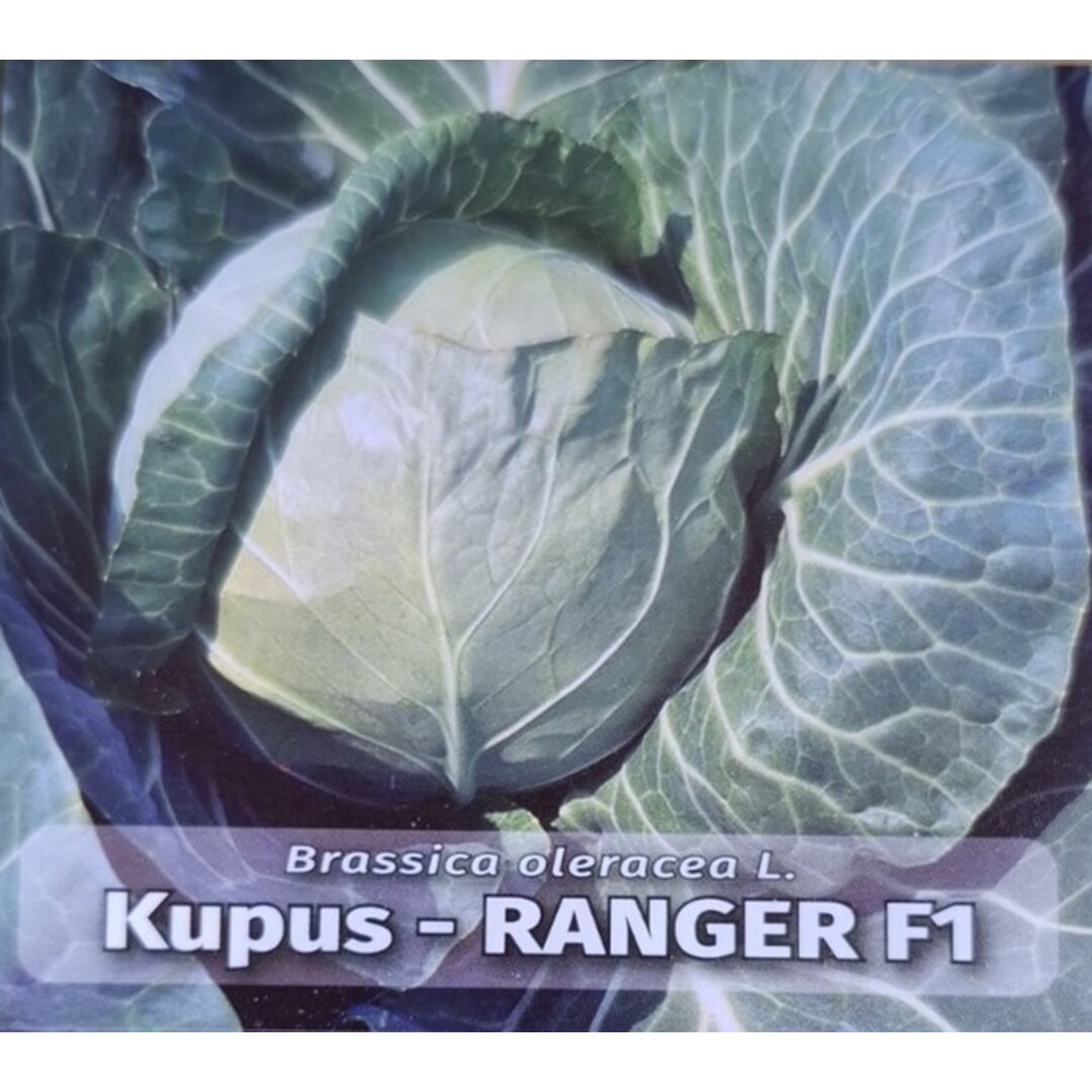 Ranger.jpg