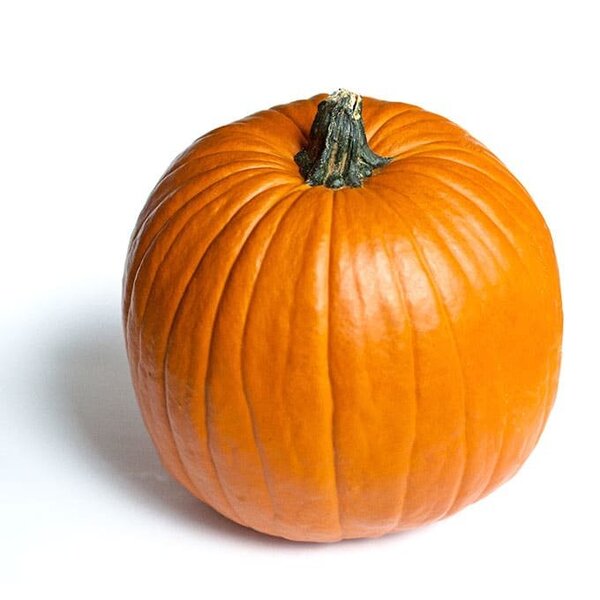 halloween-5049.jpg