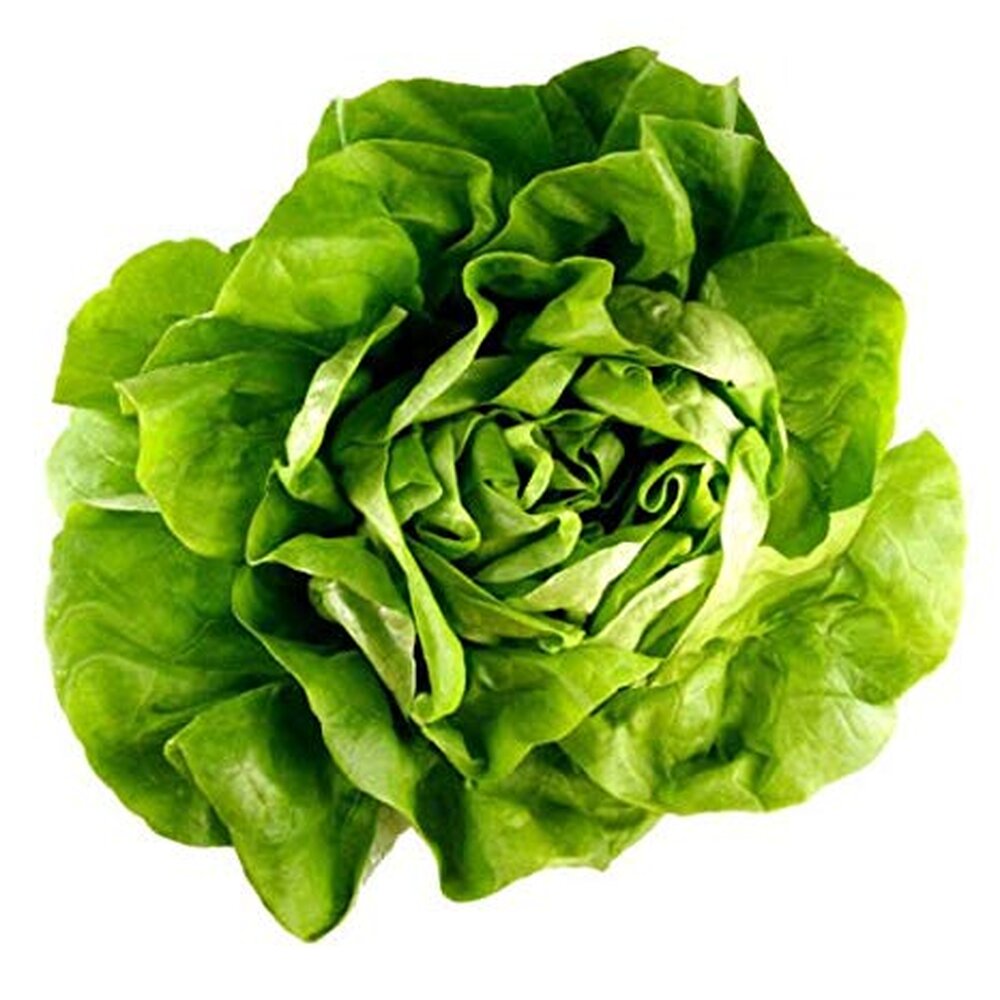 salata.jpg