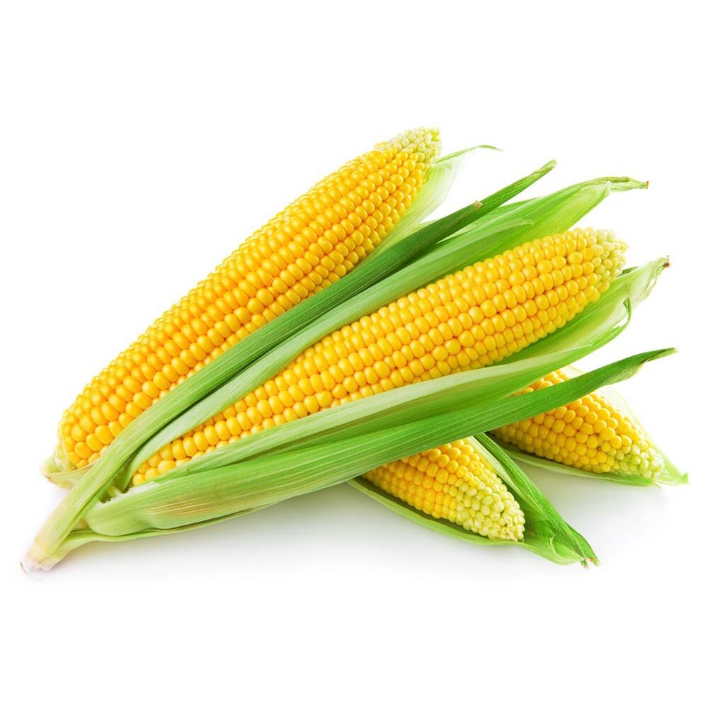 15915corn.jpg