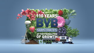 bvb supstrati 100 supstrat