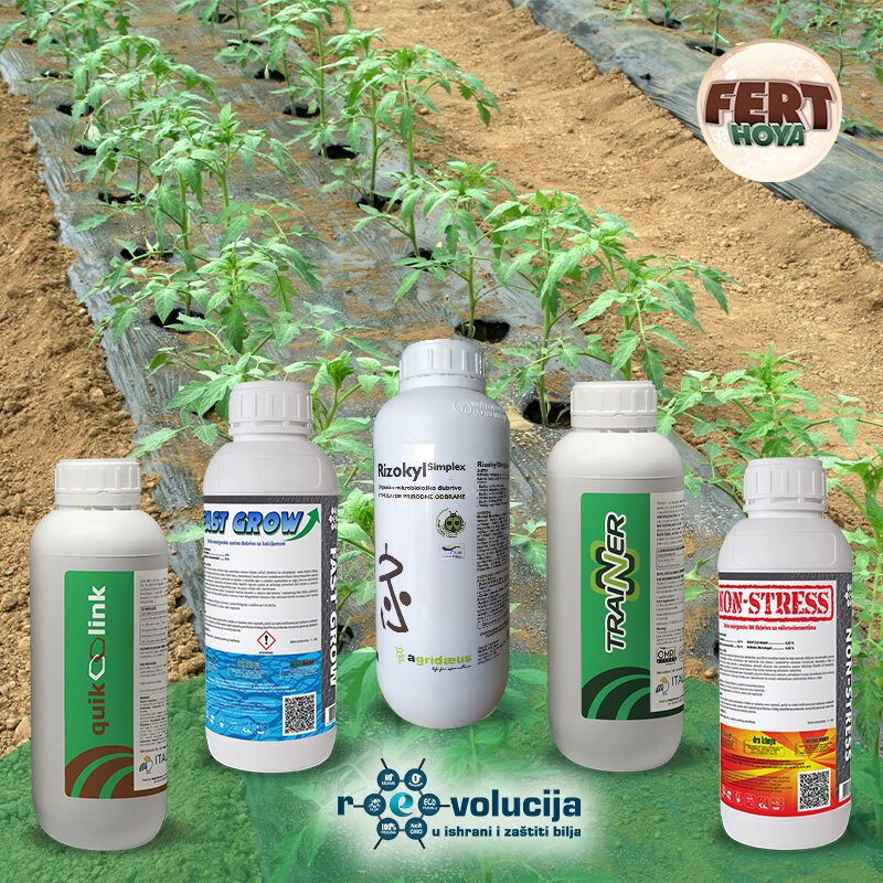 27_02_2026_Koraci_nakon_rasađiva