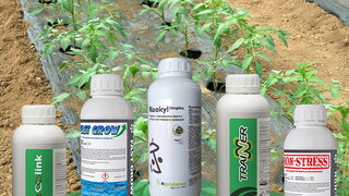 27 02 2026 koraci nakon rasaivanja