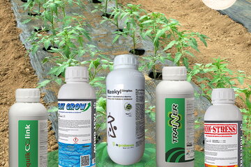 27 02 2026 koraci nakon rasaivanja