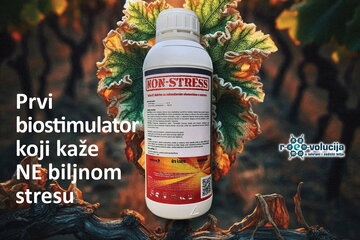 487114456_637422329052718_1162516578339959132_n