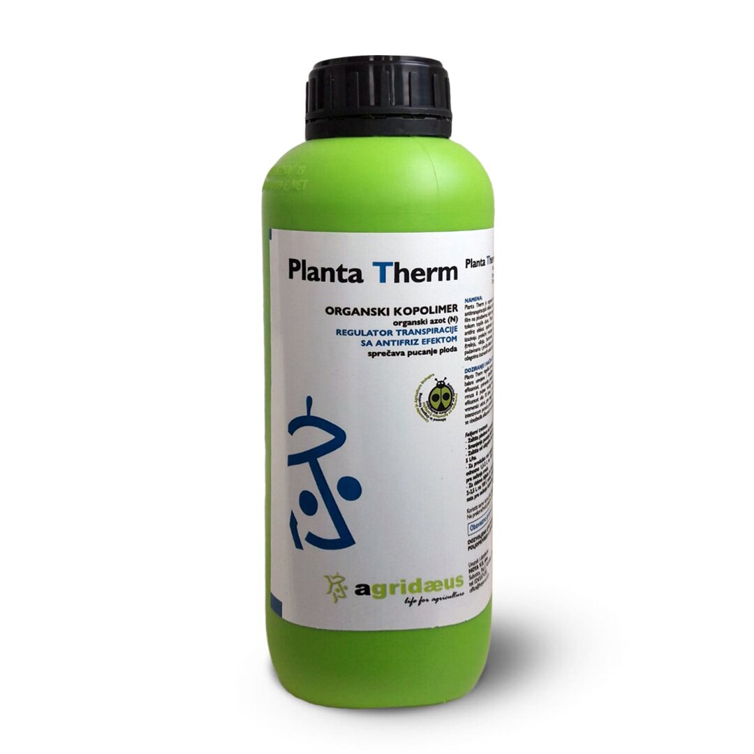 Planta Therm.jpg