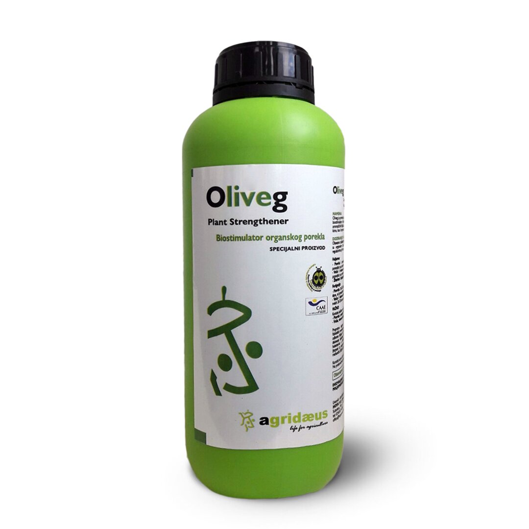 Oliveg1.jpg