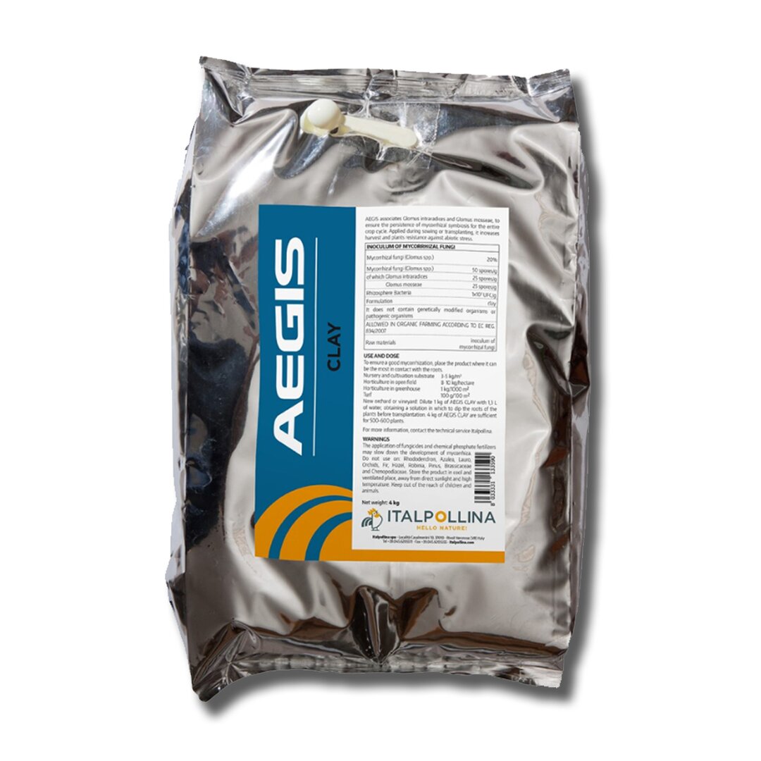 Aegis Clay.jpg