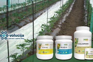 1094515 04 2026 gelovi 222