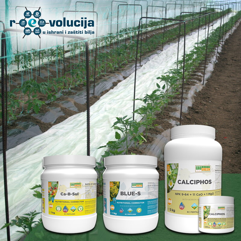 15_04_2026_Gelovi_ _Copy_1