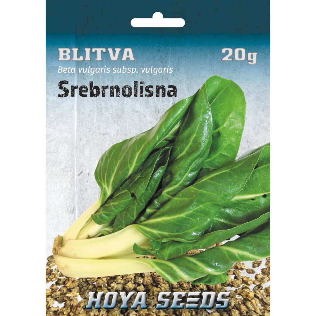 Blitva_Srebrnolisna.jpg