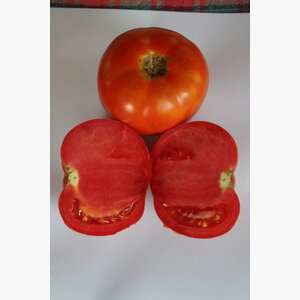 paradajz_compass f1 14955