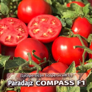 paradajz_compass f1