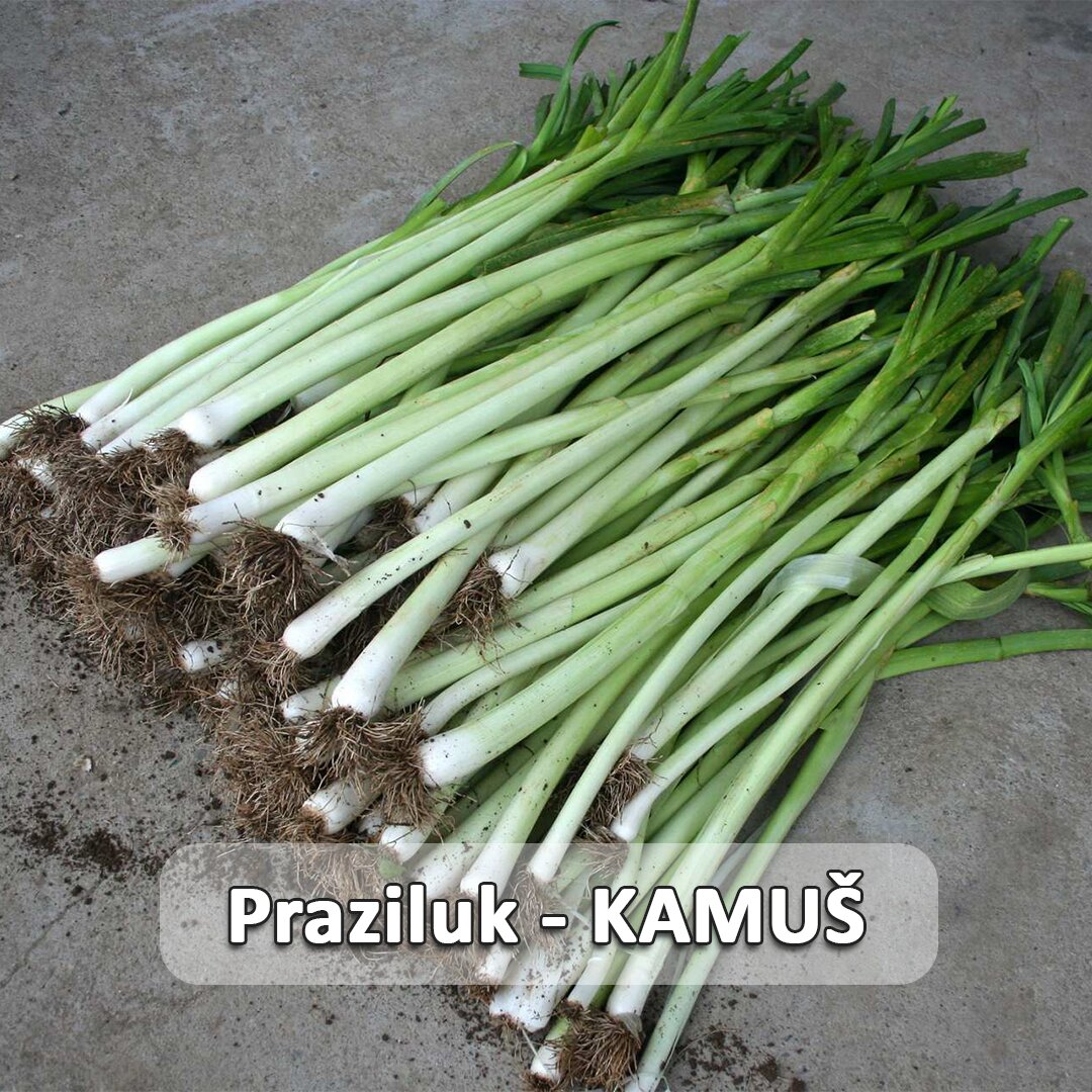 Praziluk - KAMUŠ etiketa.jpg