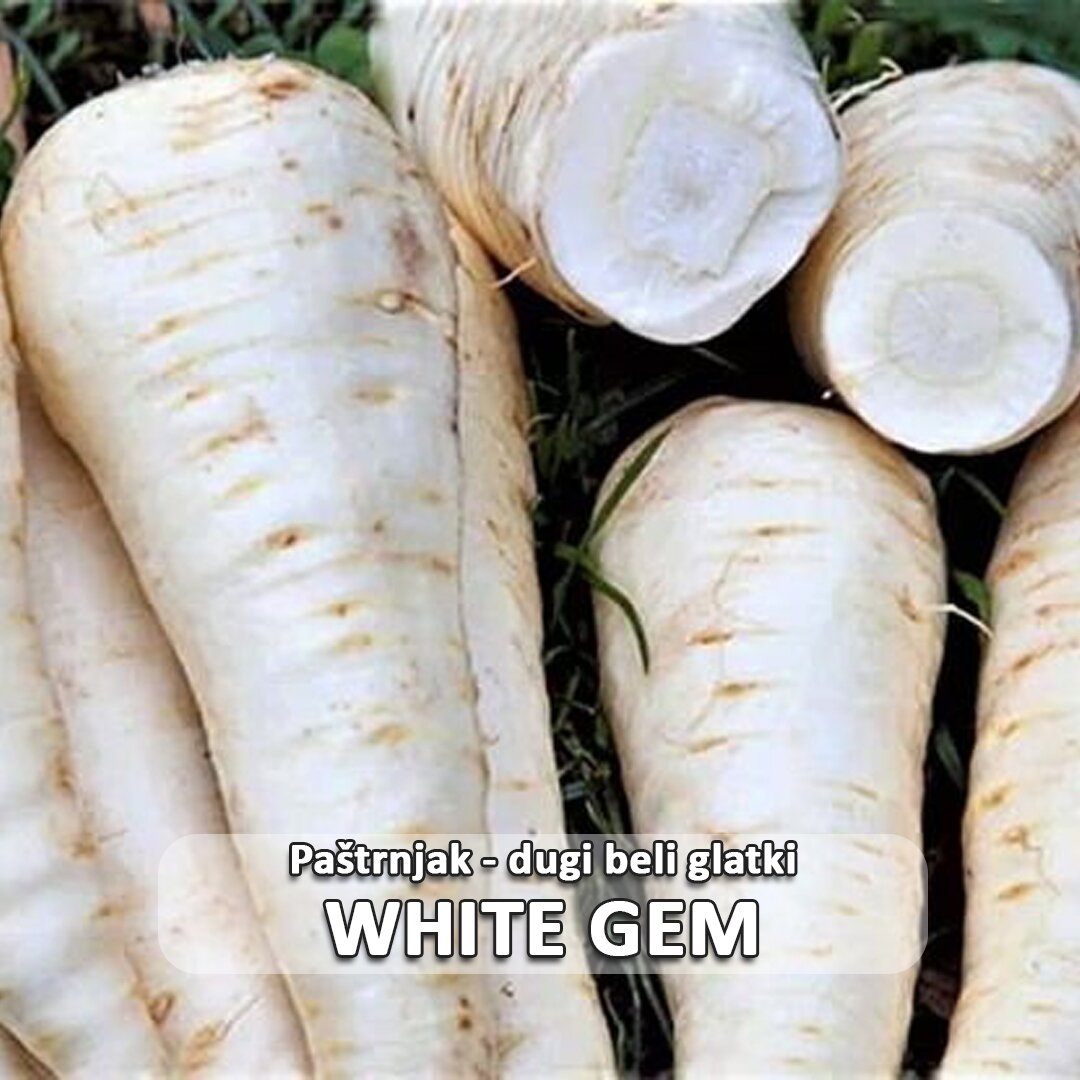 Paštrnjak DUGI BELI GLATKI White Gem etiketa.jpg