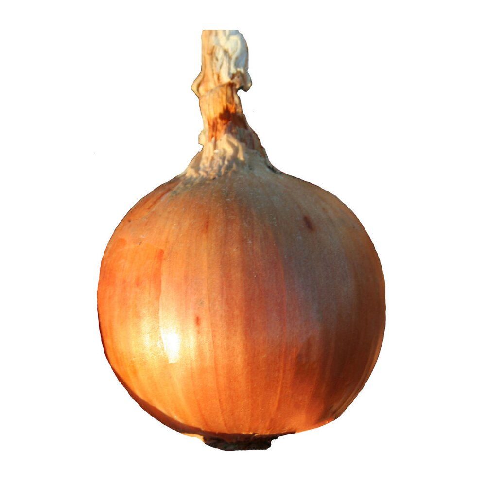 Luk naslovna.jpg