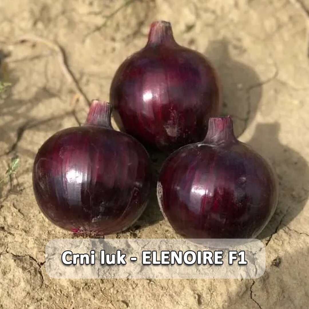 Elenoire F1 etiketa.jpg