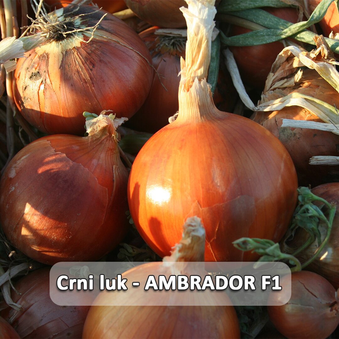 Ambrador F1 etiketa.jpg