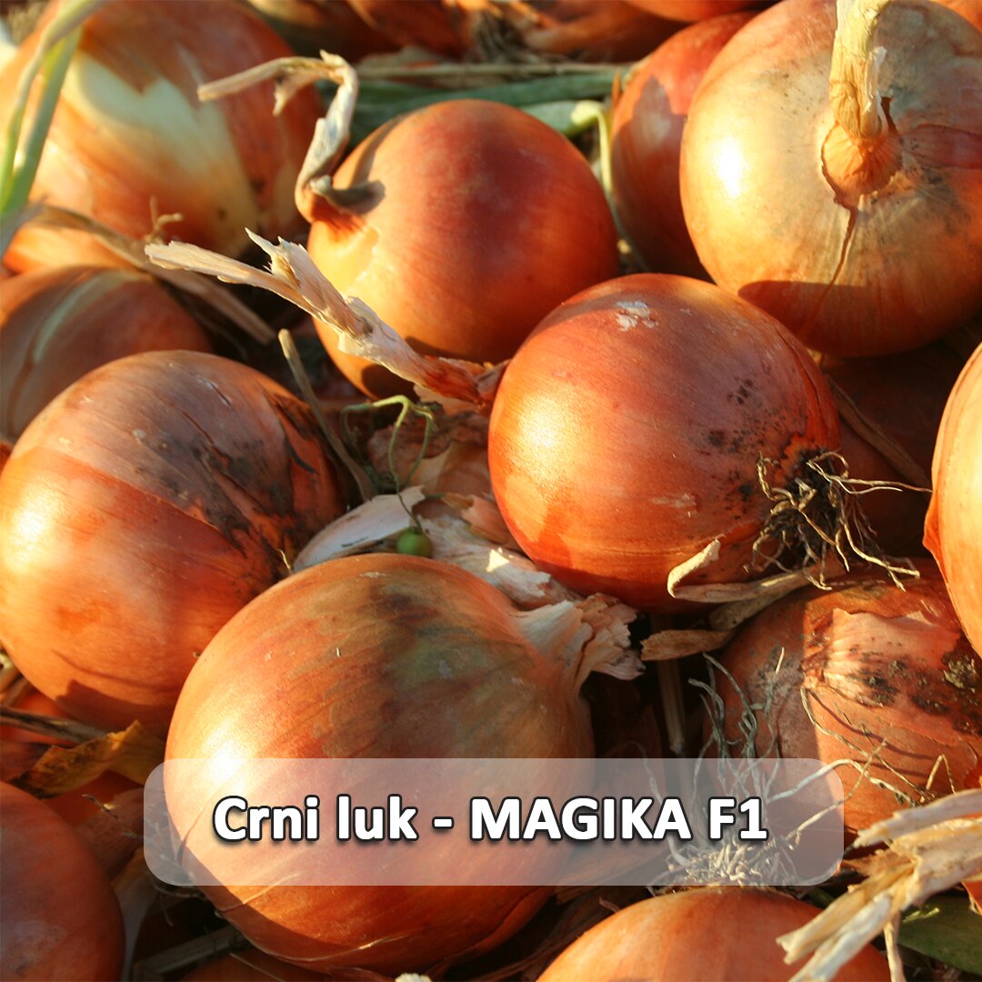 Magika F1 etiketa.jpg
