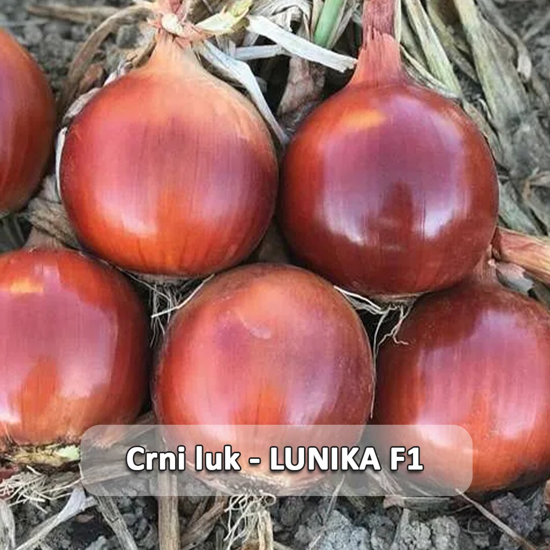 Lunika F1 etiketa.jpg