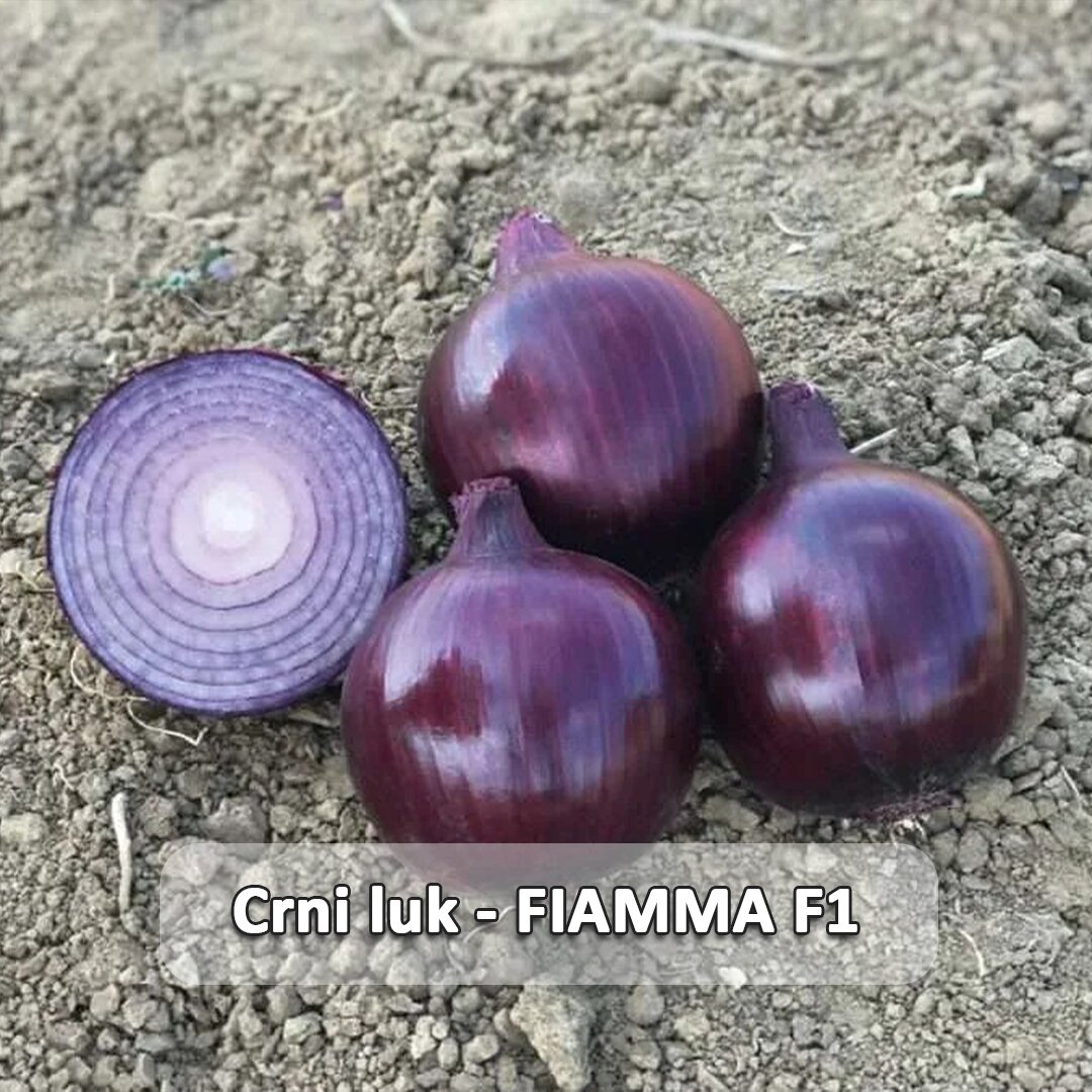 Fiamma F1 etiketa.jpg