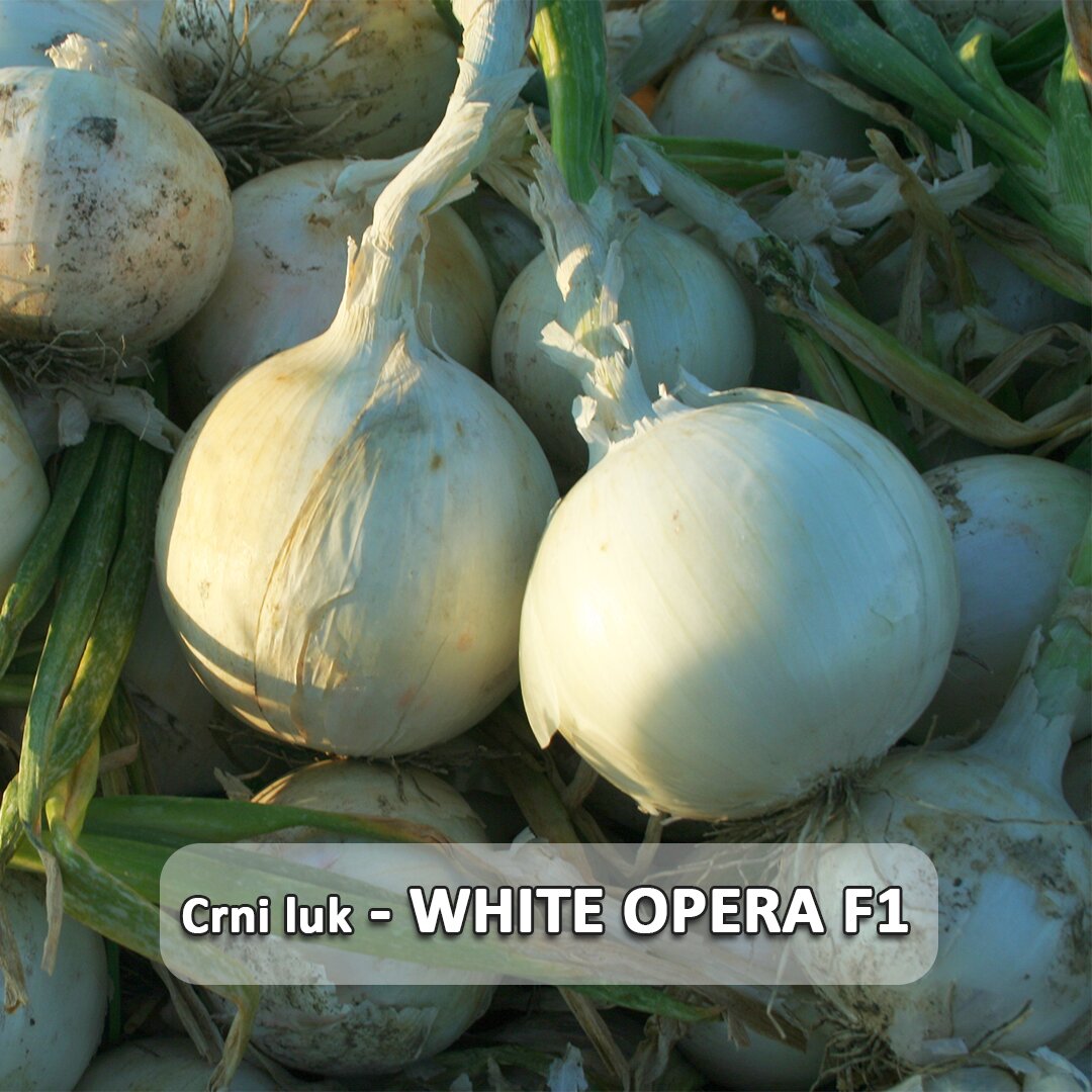 White Opera F1 etiketa.jpg