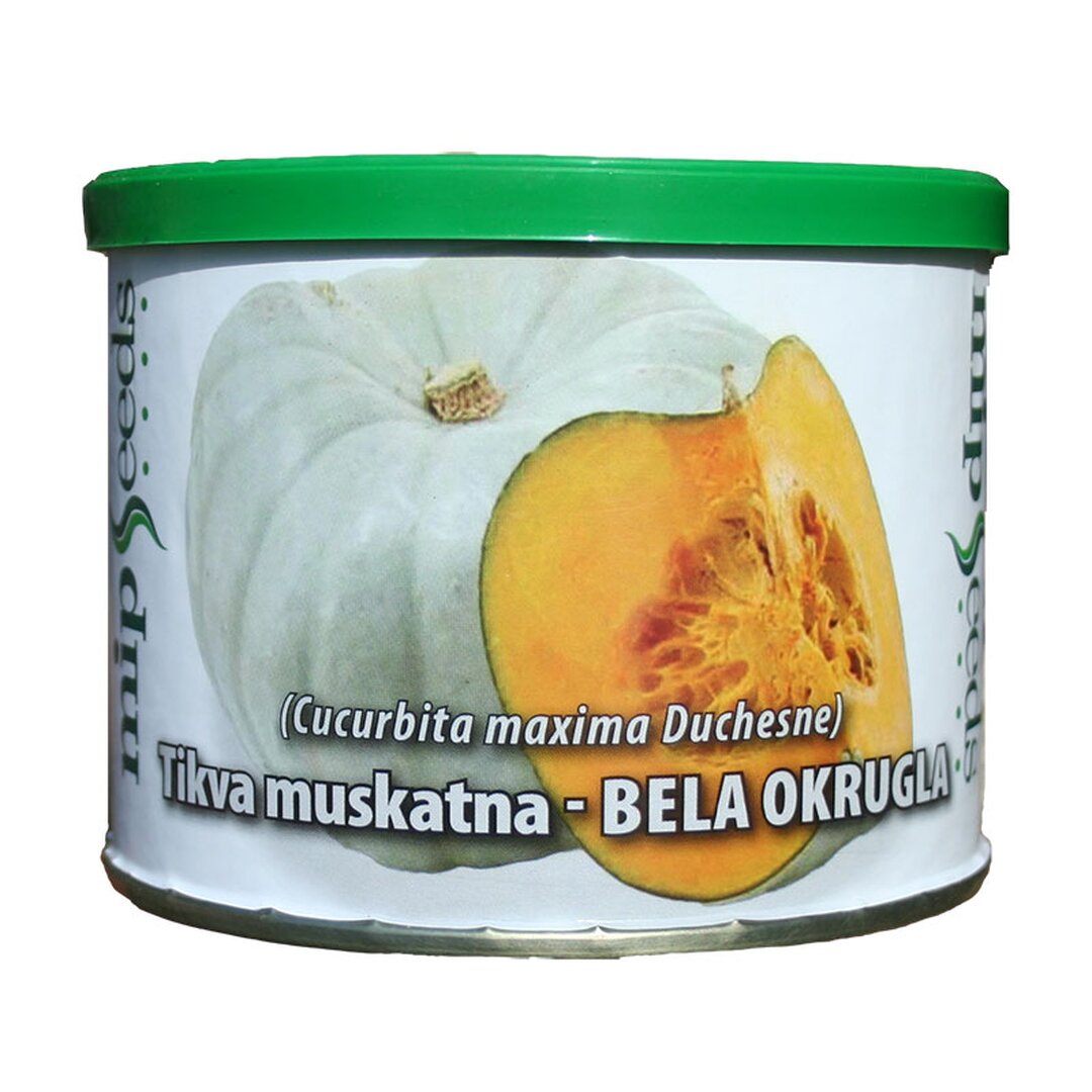 17197Tikva muskatna BELA OKRUGLA slika.jpg